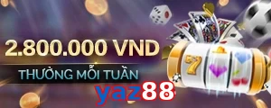 yaz88