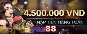 yaz88