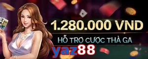 yaz88