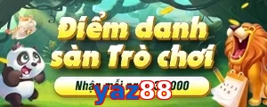 yaz88