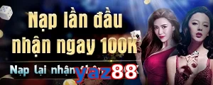 yaz88