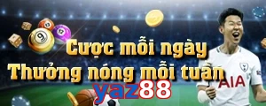 yaz88